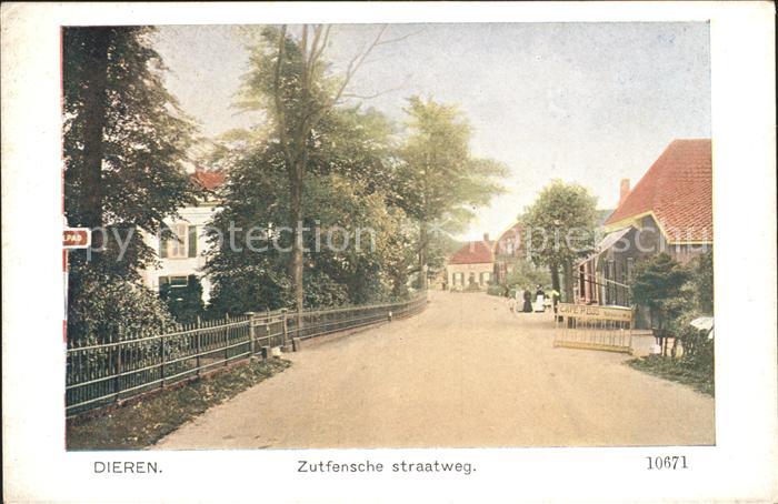 Dieren Zutfensche straatweg