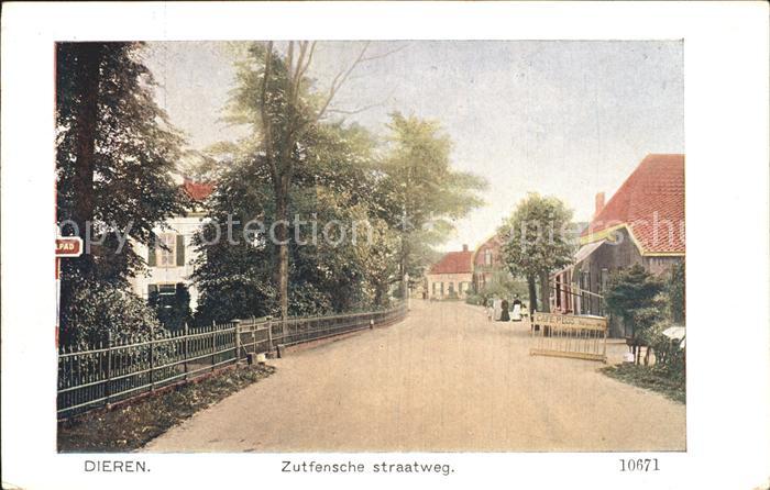 Dieren Zutfensche straatweg