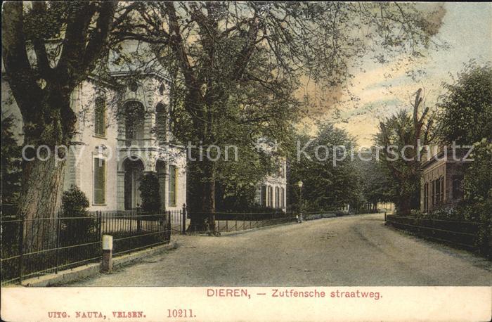 Dieren Zutfensche straatweg