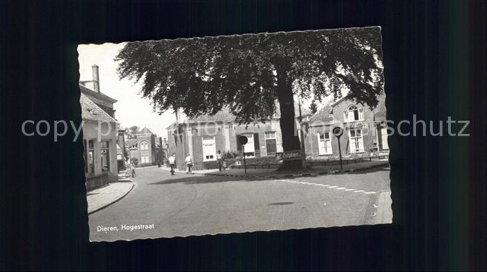 Dieren Hogestraat
