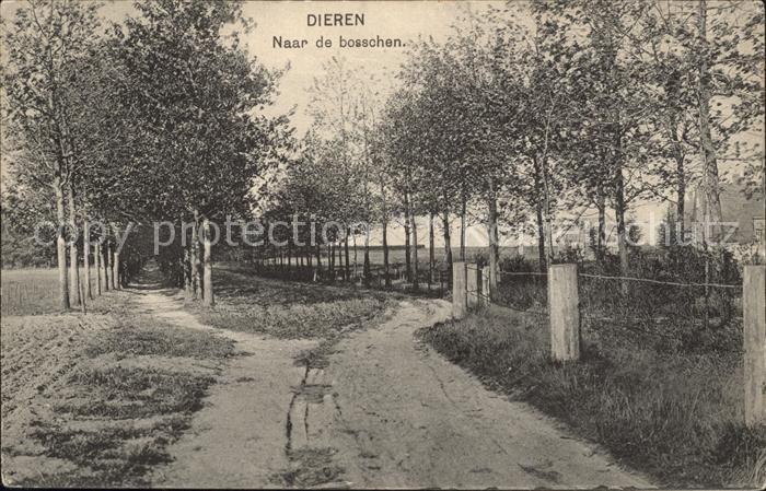 Dieren Naar bosschen