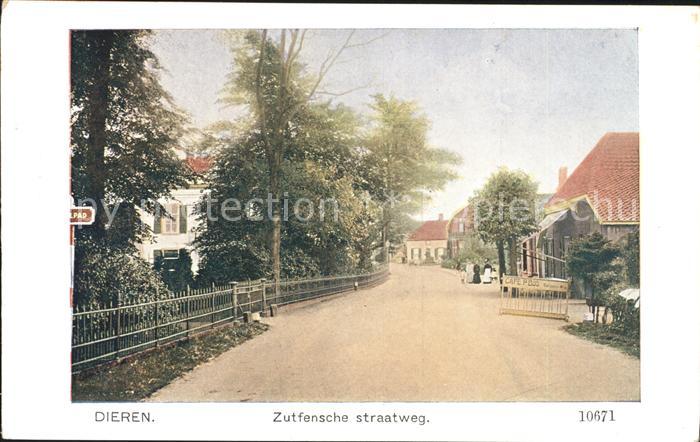 Dieren Zutfensche straatweg