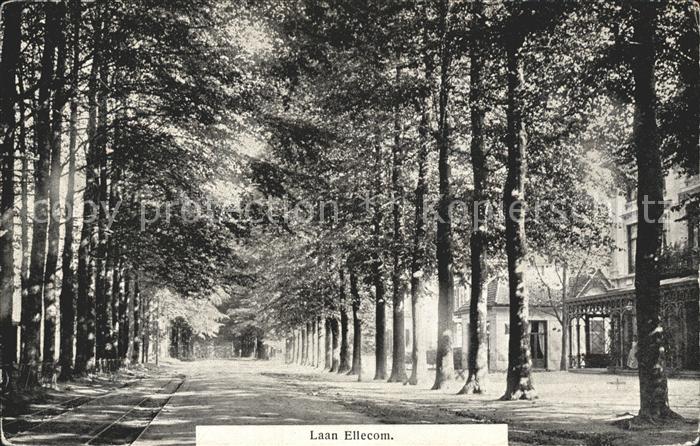 Ellecom Laan