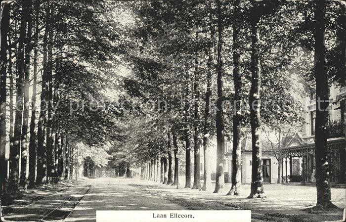 Ellecom Laan