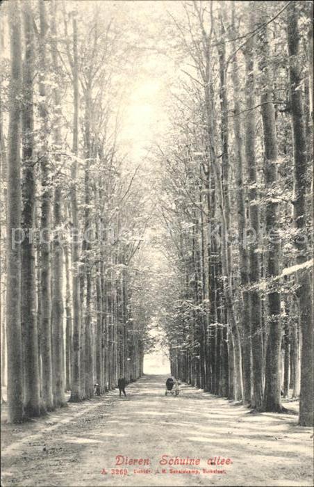 Dieren Schuine allee