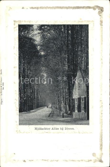 Dieren Middachter Allee