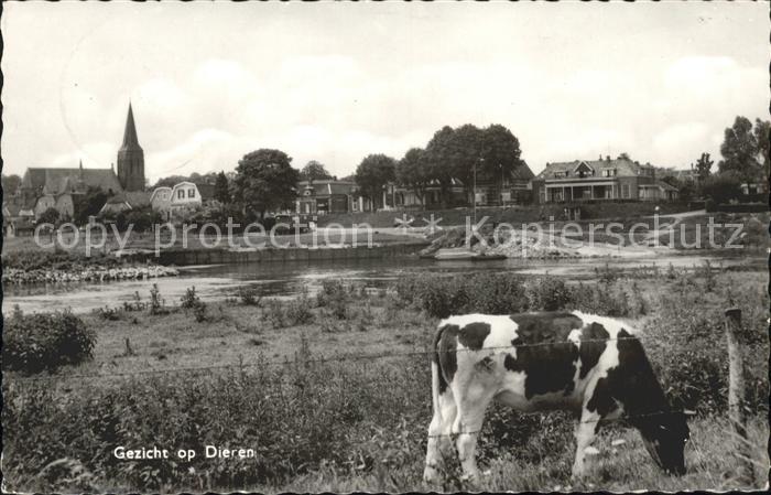 Dieren Kuh Kerk Ort