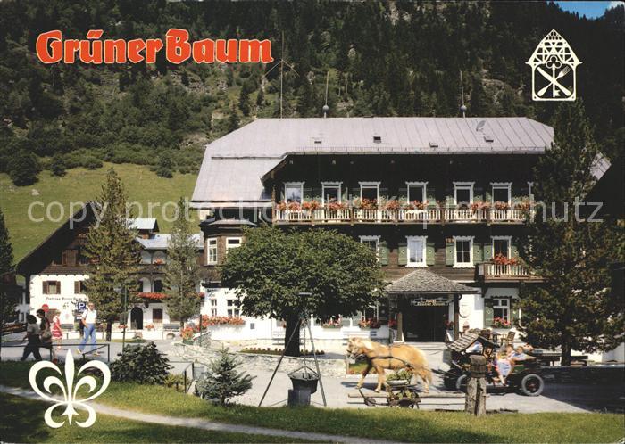Badgastein Hotel Gruener Baum Pferdekutsche
