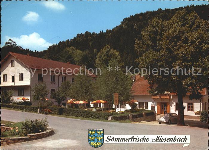 Miesenbach Birkfeld Gasthof zum gruenen Baum