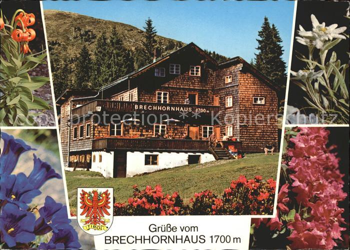 Kirchberg Tirol Brechhornhaus Alpenblumen