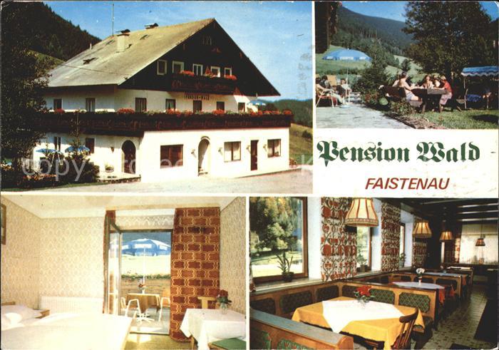Faistenau Salzburg Pension Wald Details