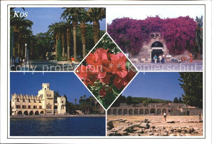 Kos Cos Teilansichten Palmen Blumen Ruinen