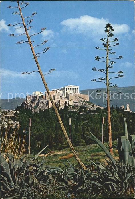 Athens Athen Akropolis Tempel Ruine Antike