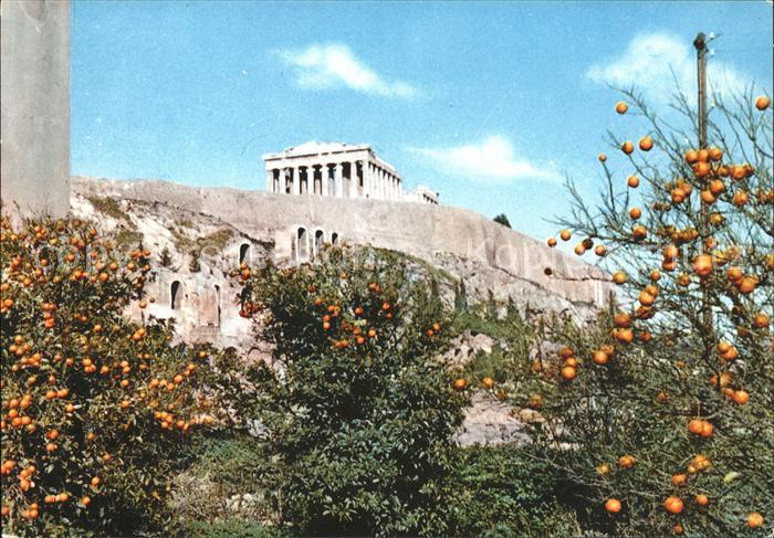 Athenes Athen Akropolis Tempel Ruine Antike Orangenbaum