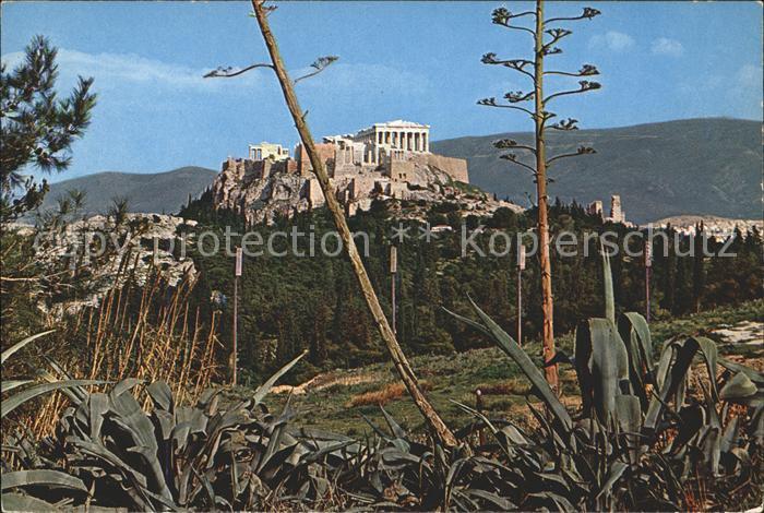 Athenes Athen Akropolis Tempel Ruine Antike