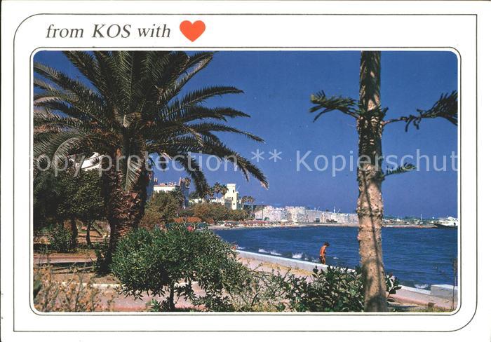Kos Cos Panorama Palmen