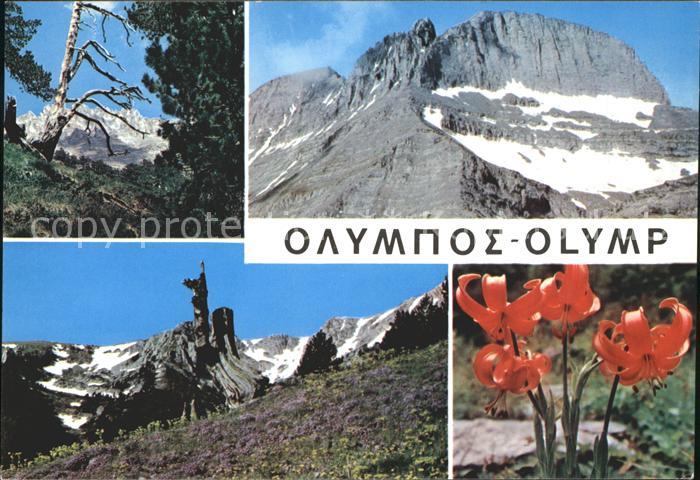 Griechenland Greece Olymp Gebirge Blumen