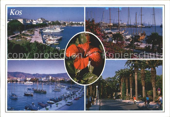 Kos Cos Promenade Palmen Hafen Schiffe Blumen