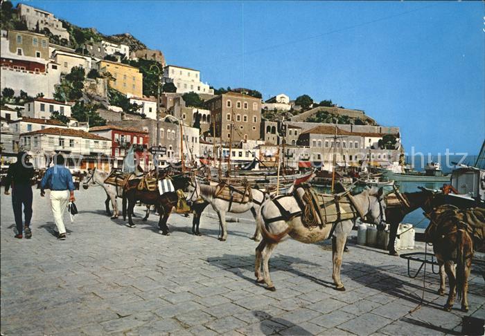 Hydra Greece Ansicht des Hafens Esel Lasttiere