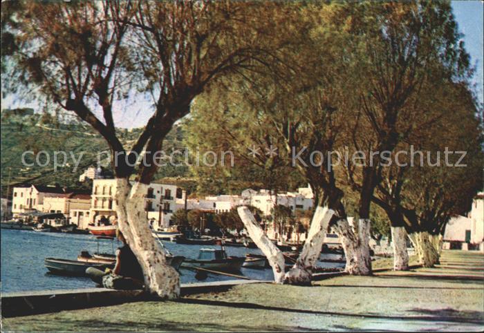 Skala Patmos Hafen Promenade Alte Baeume