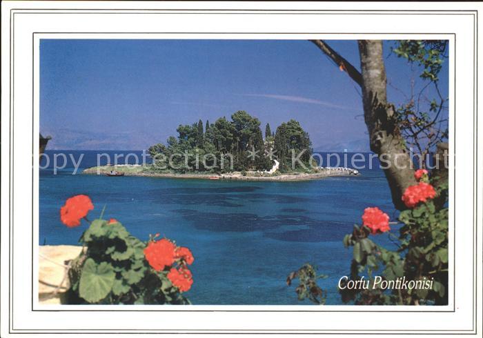 Corfu Korfu Pontikonissi Maeuseinsel Blumen