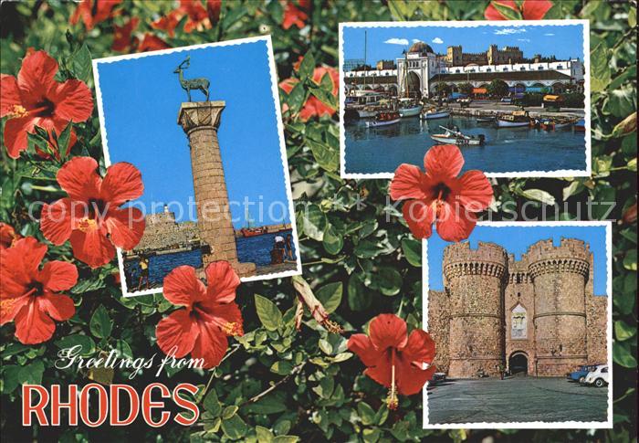 Rhodos Rhodes aegaeis Statue Elafos Hafen Palast Blumen