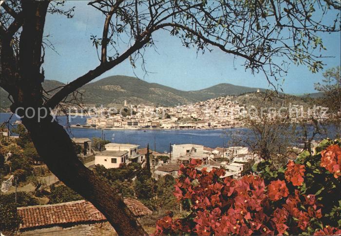 Poros Teilansicht Blumen