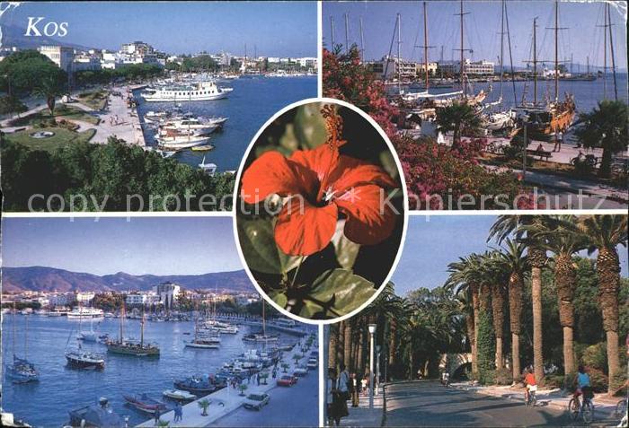 Kos Cos Hafen Segelboote Promenade