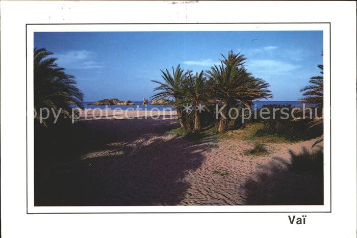 Vai Strand Palmen