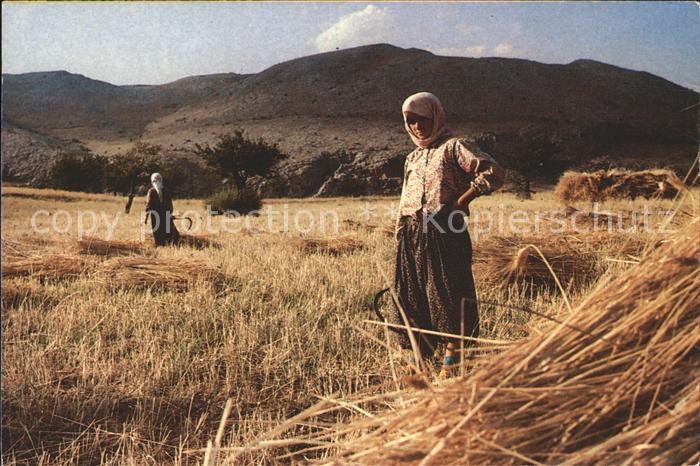 Tuerkei Turkey Heu Bauer