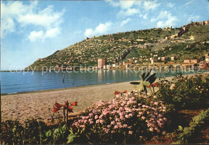 Alanya Stand Burg Blume