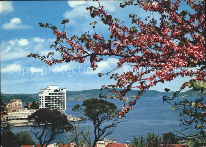 Istanbul Constantinopel v. Tarabya