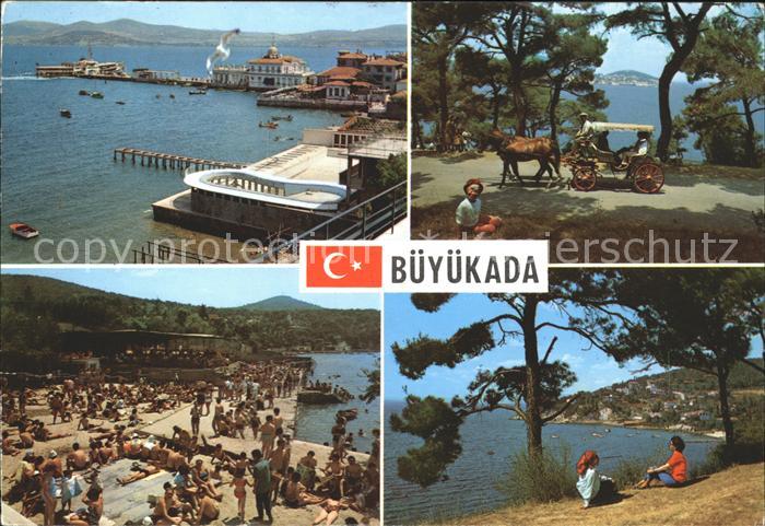 Istanbul Constantinopel Bueyuekada Pferdekutsche Strandleben