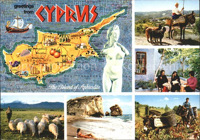 Zypern Cyprus Aphrodite Frauen Esel Bauer Strand