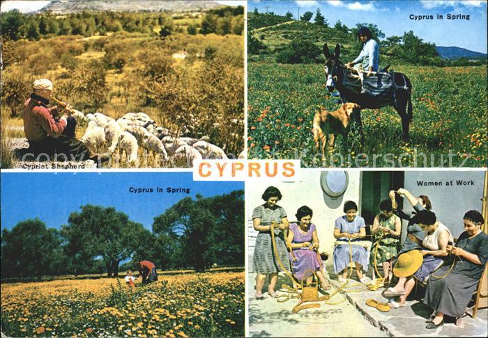 Zypern Cyprus Spring Women Work Shepherd
