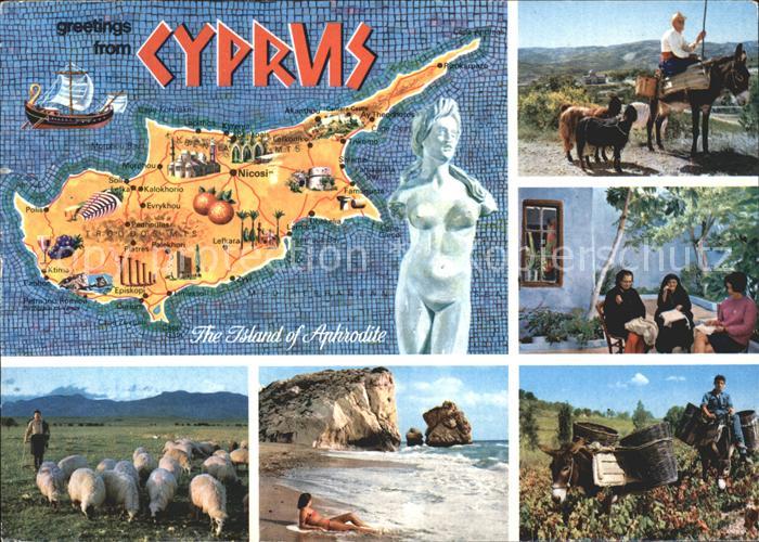 Zypern Cyprus Aphrodite Frauen Esel Strand Schafe