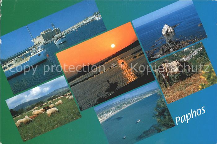 Paphos Hafen Segelboot Schafe Esel