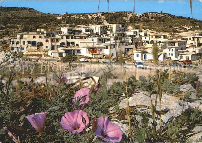 Protaras Cyprus Zypern Ayios Elias Blumen