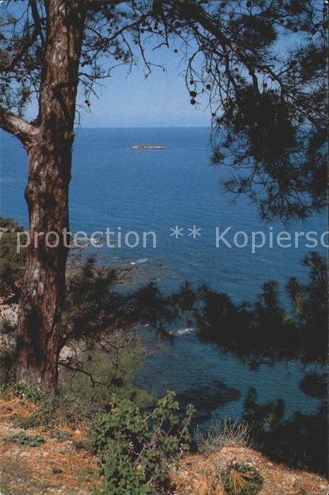 Zypern Cyprus Virgin Sea Akamas