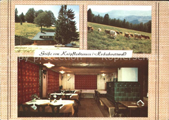 Utzenfeld Schwarzwald Berggasthof Knoepflesbrunnen Viehweide