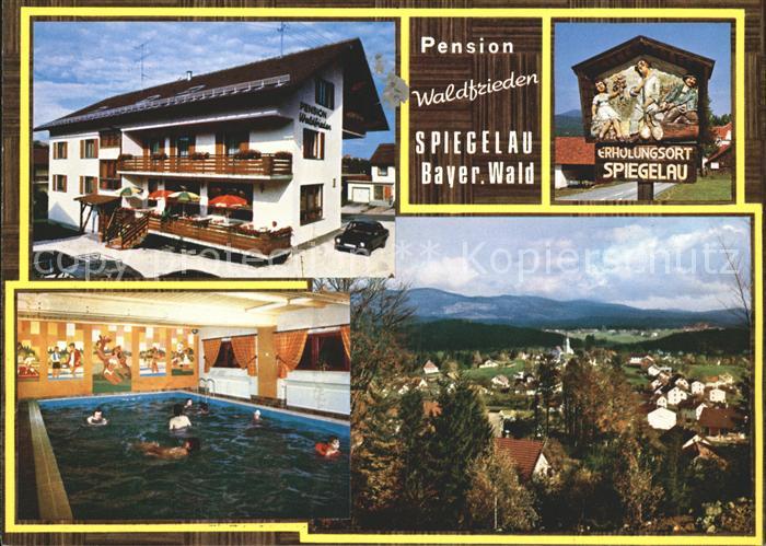 Spiegelau Pension Waldfrieden Hallenbad Panorama