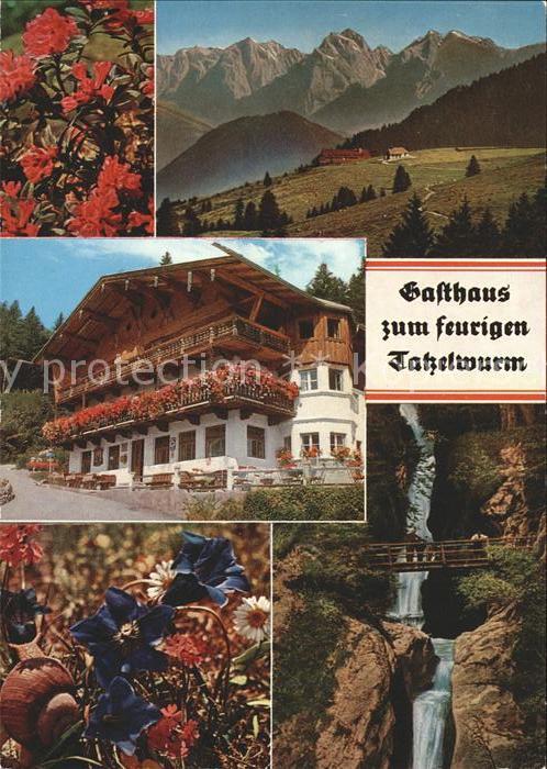 Bayrischzell Gasthaus zum feurigen Tatzelwurm Panorama Wasserfall Bergblumen