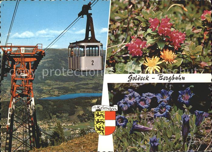 Seilbahn Goldeck Spittal Millstaettersee Almrausch Enzian