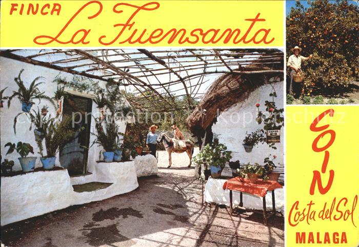 Coin Malaga Finca La Fuensanta