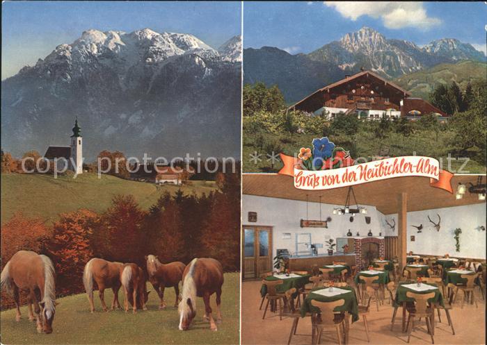 Neubichler Alm Piding Berggasthof Pferde