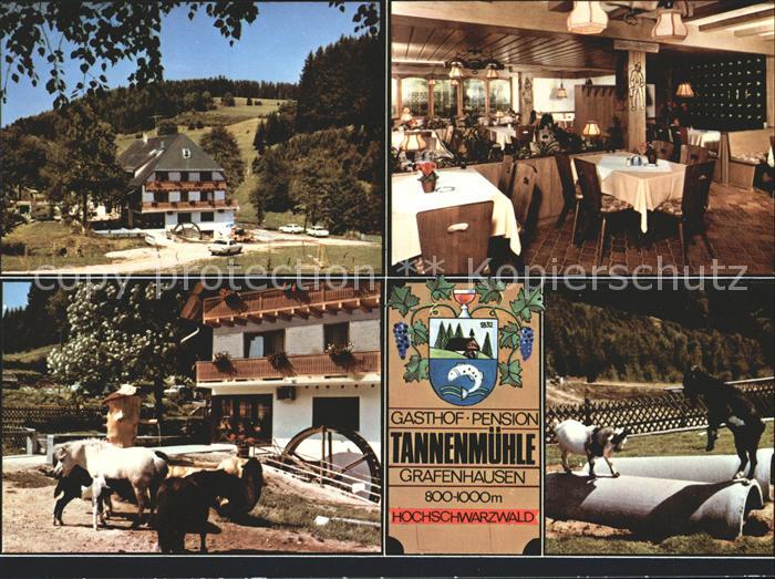 Grafenhausen Schwarzwald Gasthaus Pension Tannenmuehle