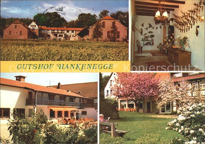 Kalletal Gutshof Hankenegge