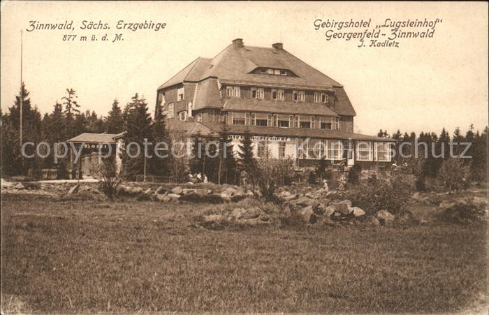 Zinnwald-Georgenfeld Gebirgshotel Lugsteinhof