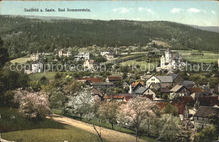 Saalfeld Saale Bad Sommerstein Panorama