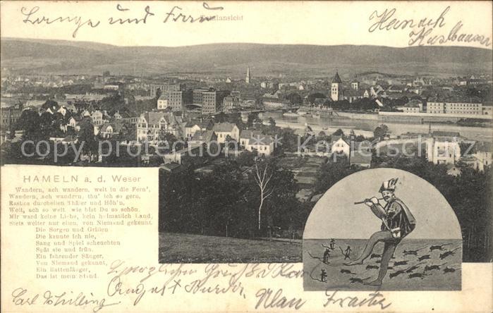 Hameln Weser Totalansicht Rattenfaenger